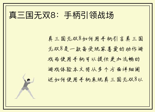 真三国无双8：手柄引领战场